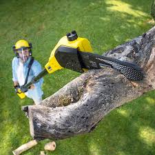 Best Lawn Watering Services  in Aberdeen, WA