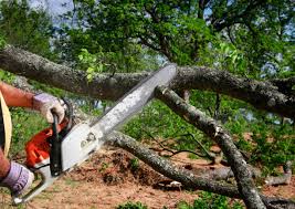 Best Lawn Maintenance Plans  in Aberdeen, WA